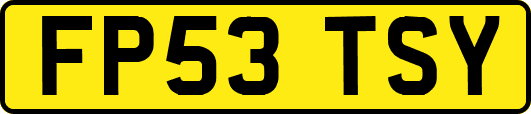FP53TSY