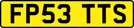 FP53TTS