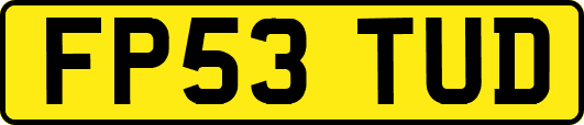 FP53TUD