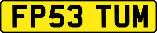 FP53TUM