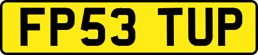 FP53TUP