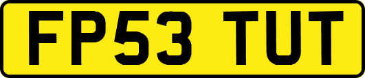 FP53TUT
