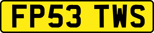 FP53TWS