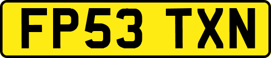 FP53TXN