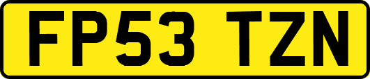 FP53TZN