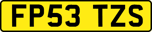 FP53TZS