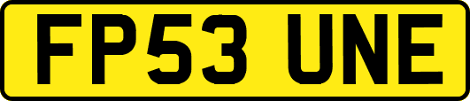 FP53UNE