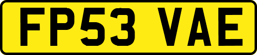 FP53VAE