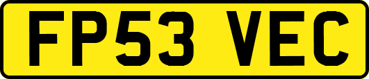 FP53VEC