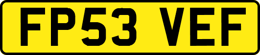 FP53VEF