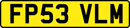 FP53VLM