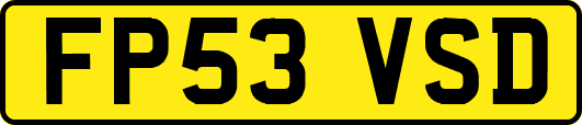 FP53VSD