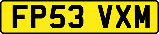 FP53VXM