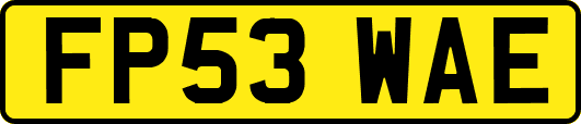 FP53WAE