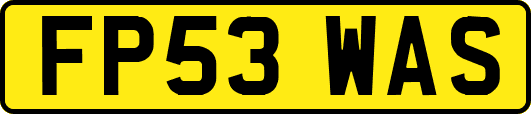 FP53WAS