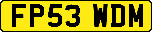 FP53WDM