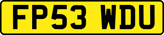 FP53WDU