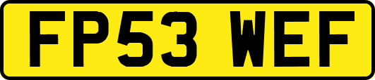 FP53WEF