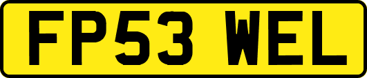 FP53WEL