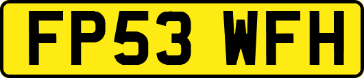FP53WFH