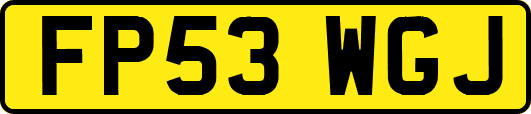 FP53WGJ