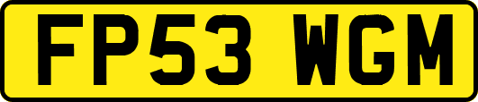 FP53WGM
