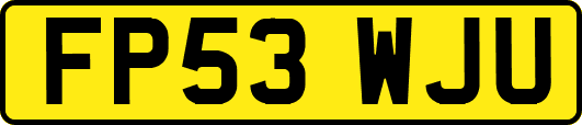 FP53WJU