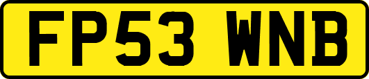 FP53WNB