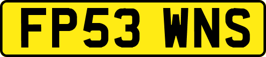 FP53WNS