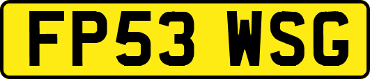 FP53WSG
