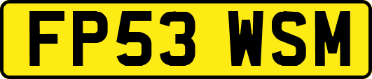 FP53WSM