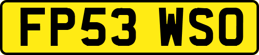 FP53WSO