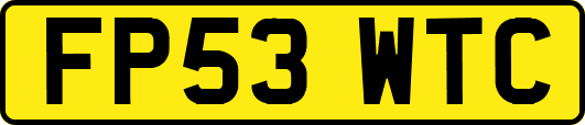 FP53WTC