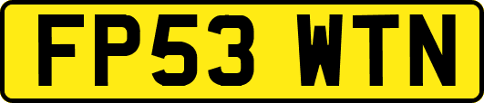 FP53WTN