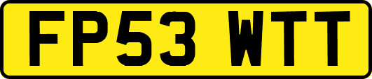 FP53WTT