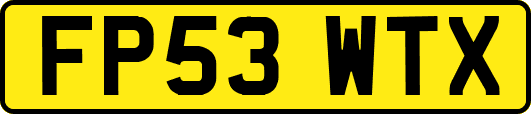 FP53WTX