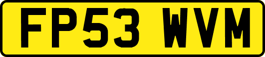 FP53WVM