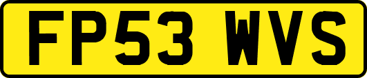 FP53WVS