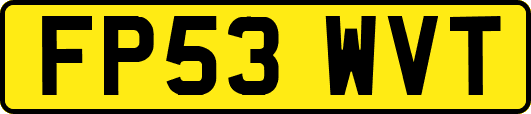 FP53WVT