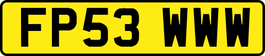 FP53WWW