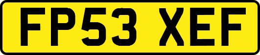 FP53XEF