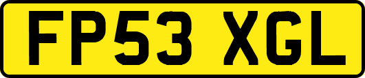 FP53XGL