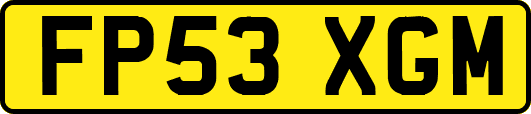 FP53XGM