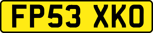 FP53XKO