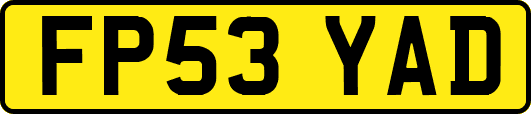 FP53YAD