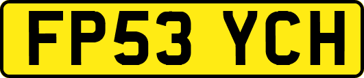 FP53YCH