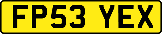 FP53YEX