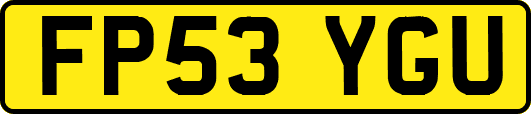 FP53YGU