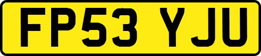 FP53YJU