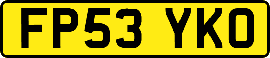 FP53YKO